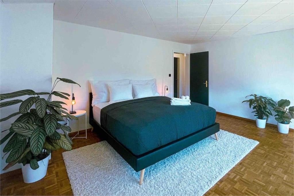 Villa -The Urbanist- Mountainview Parking Garden 3Bd Unterseen Esterno foto